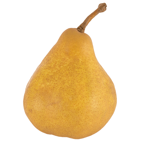 La France Pears
