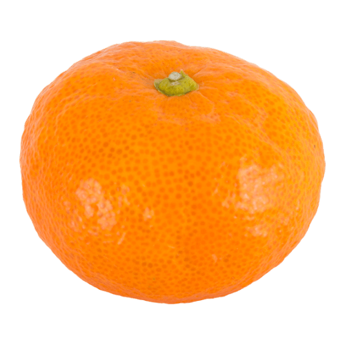 House Mikan Oranges
