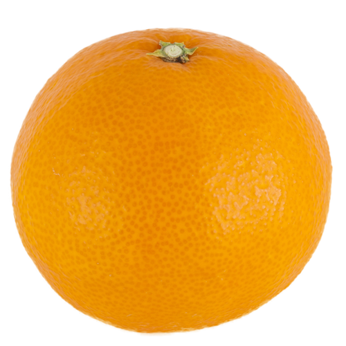 Setoka Oranges