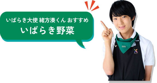 いばらき大使 緒方湊くん おすすめ
いばらき野菜